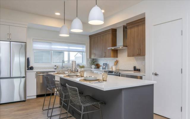 Infill Home In Edmonton